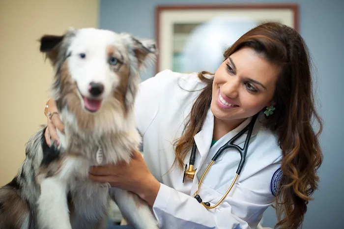 Midwestern University Companion Animal Clinic Picture 5