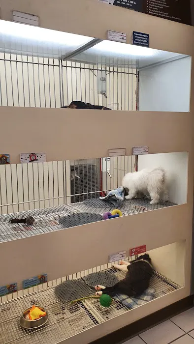 Puppies 'N Love Picture 1