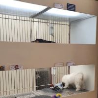Puppies 'N Love ico