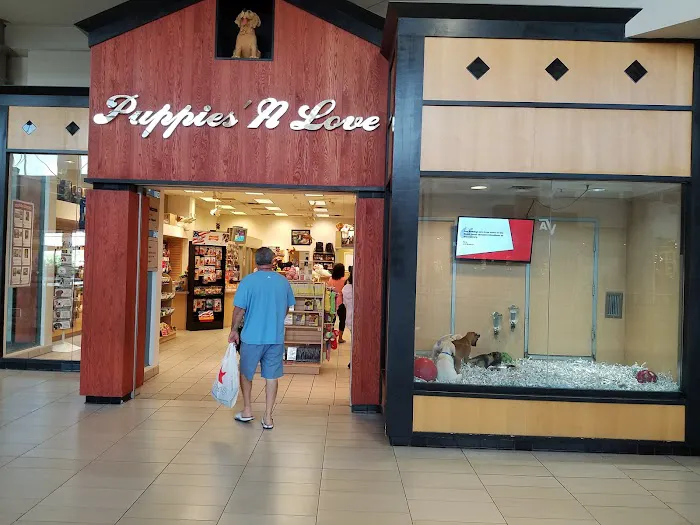 Puppies 'N Love Picture 2