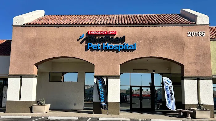 BluePearl Pet Hospital Picture 3