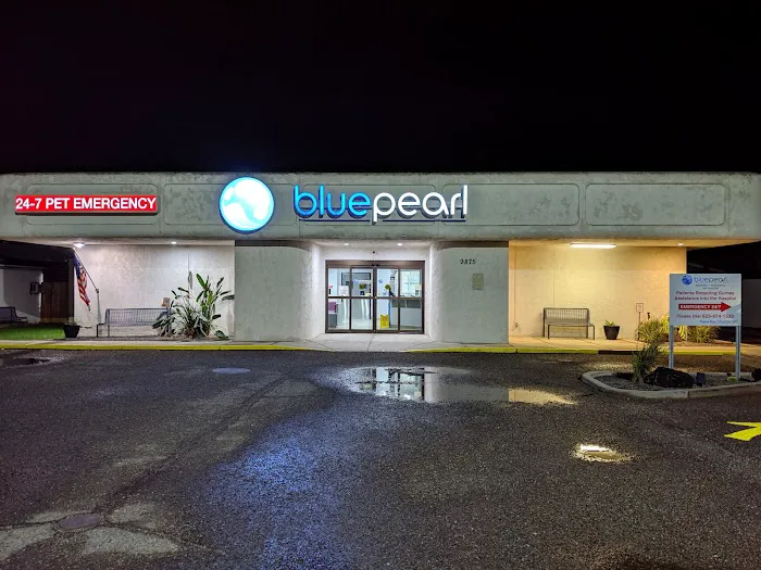 BluePearl Pet Hospital Picture 2