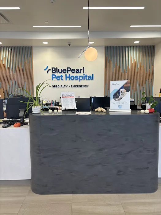 BluePearl Pet Hospital Picture 8