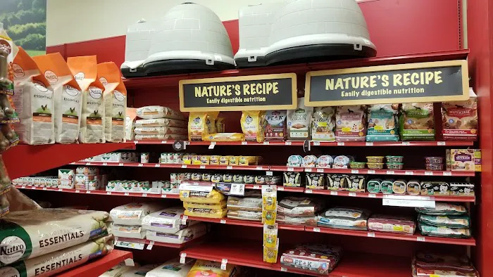 Petco Picture 2