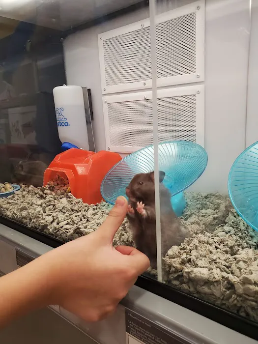 Petco Picture 6