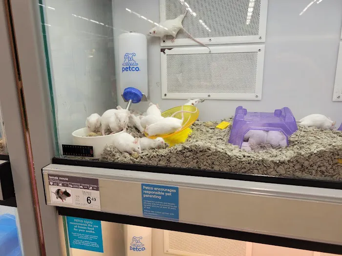 Petco Picture 7