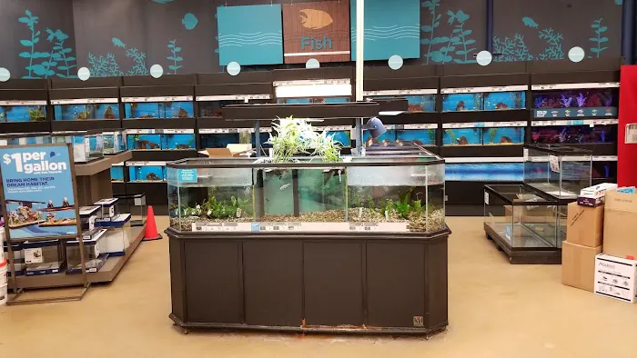 Petco Picture 10