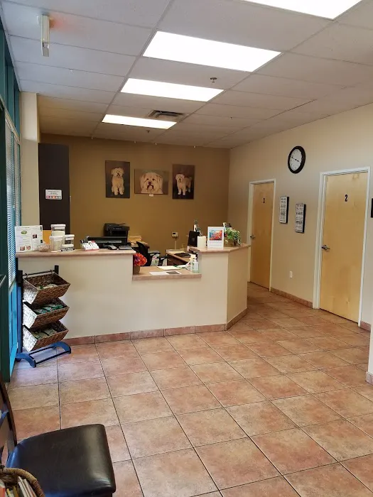 Apollo North Animal Hospital Picture 7