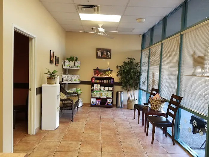Apollo North Animal Hospital Picture 6