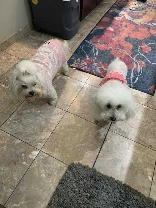 Apollo North Animal Hospital Picture 5
