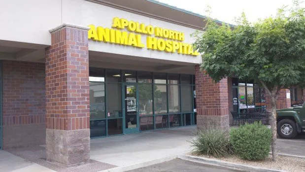 Apollo North Animal Hospital Picture 9