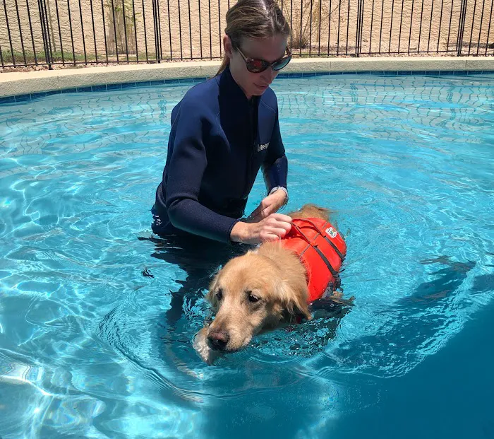 Arizona Veterinary Physical Rehabilitation Picture 10