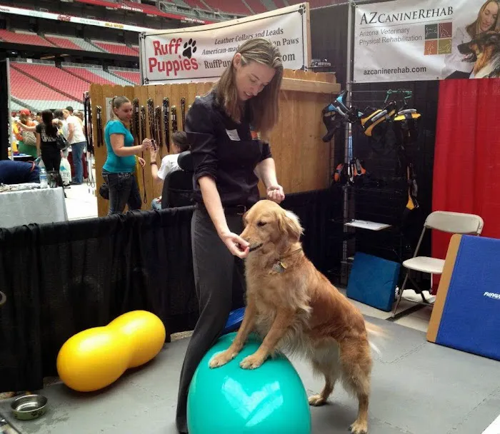 Arizona Veterinary Physical Rehabilitation Picture 7