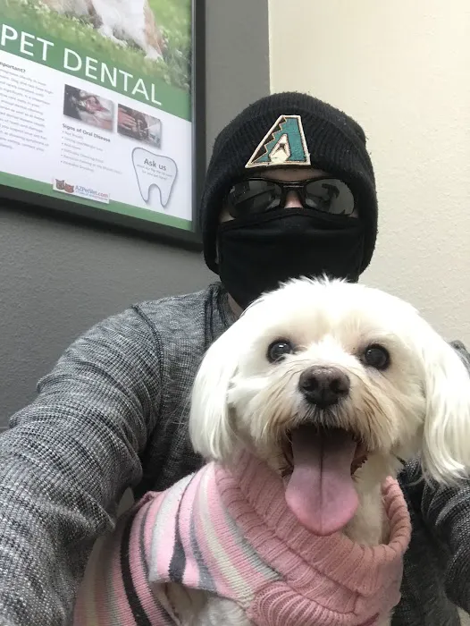 Lovet Pet Health Care - Beardsley Picture 6
