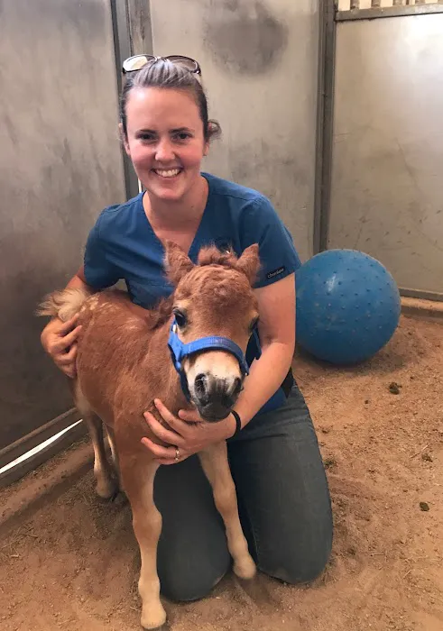 West Valley Equine Veterinary Services, LLC Picture 1