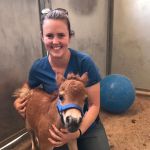 West Valley Equine Veterinary Services, LLC