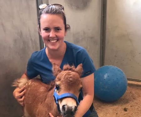 West Valley Equine Veterinary Services, LLC