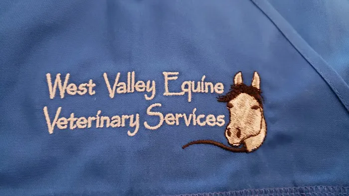West Valley Equine Veterinary Services, LLC Picture 7
