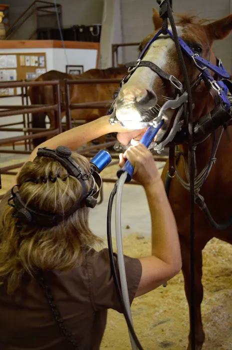 West Valley Equine Veterinary Services, LLC Picture 4