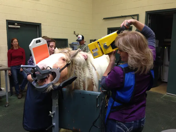 West Valley Equine Veterinary Services, LLC Picture 5