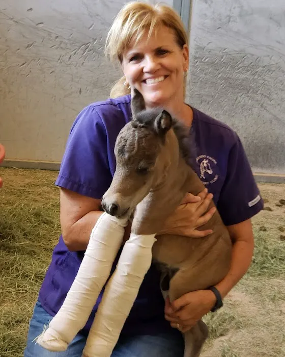 West Valley Equine Veterinary Services, LLC Picture 9