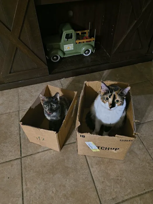 Walmart Pet Services Picture 8