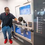 Walmart Pet Services