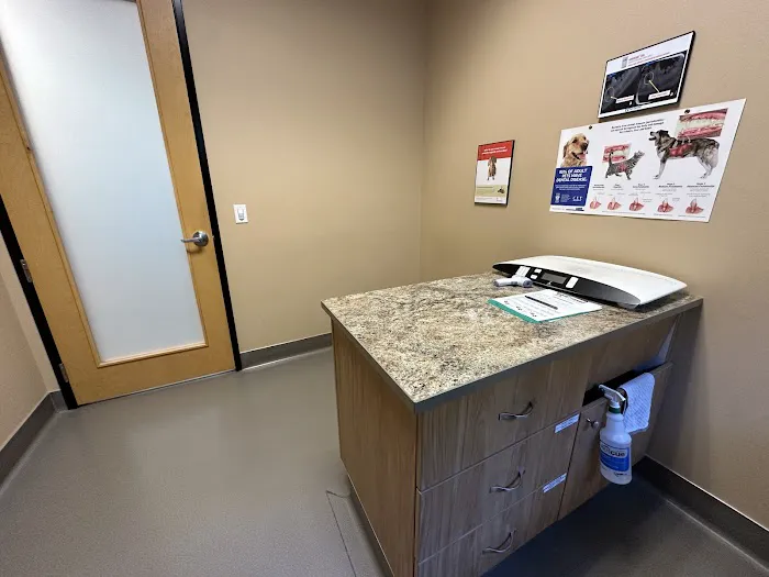 Pet Dental USA Picture 2