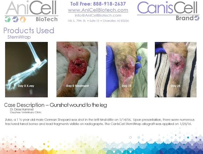 AniCell Biotech, LLC Picture 3