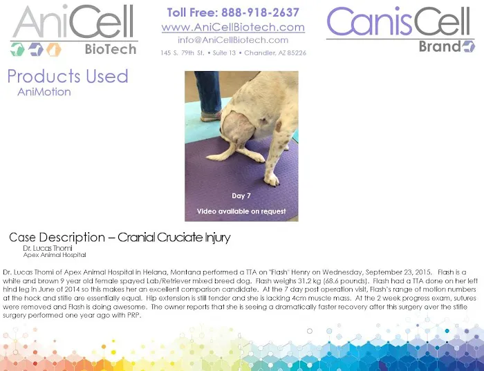 AniCell Biotech, LLC Picture 6
