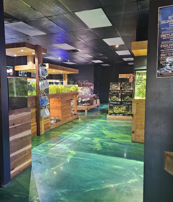Kona Reef Az - Surprise Picture 9