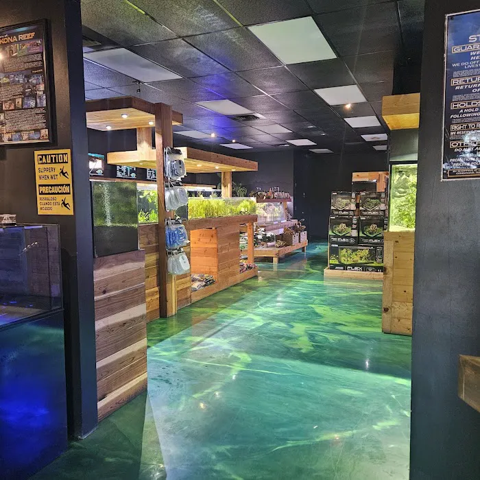 Kona Reef Az - Surprise Picture 8