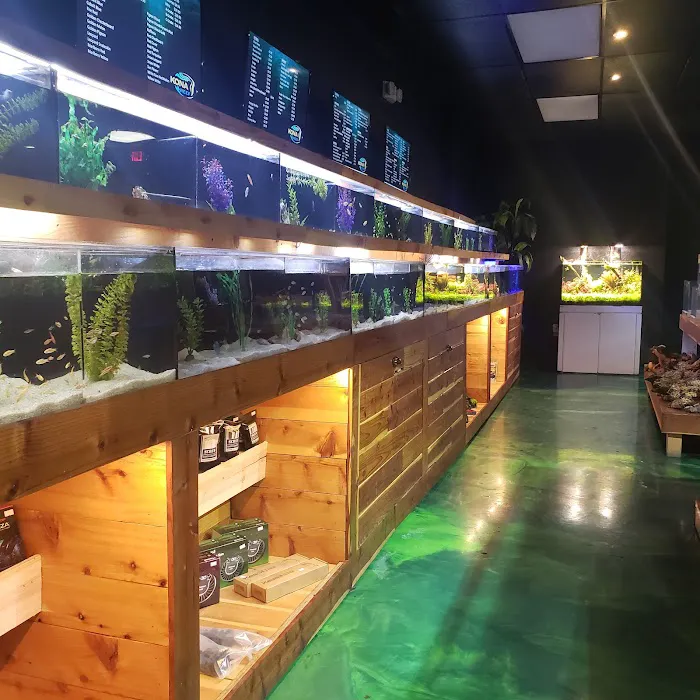 Kona Reef Az - Surprise Picture 4