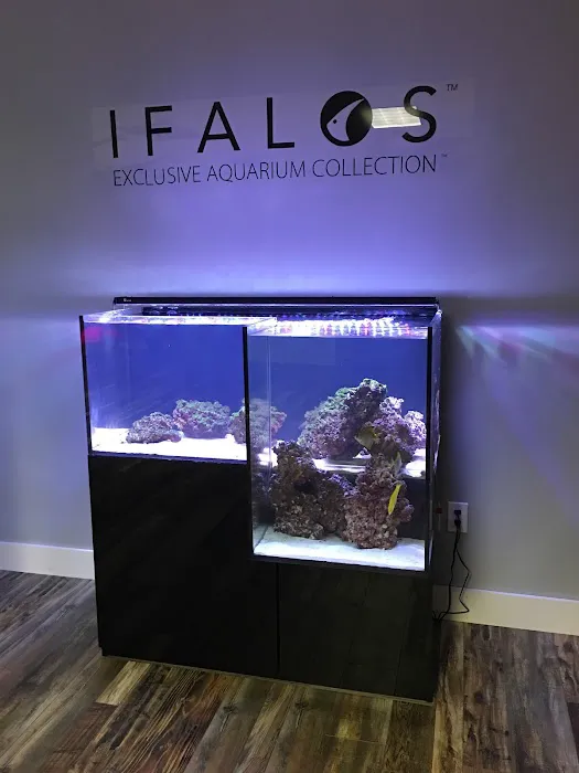 Kona Reef Az - Surprise Picture 3