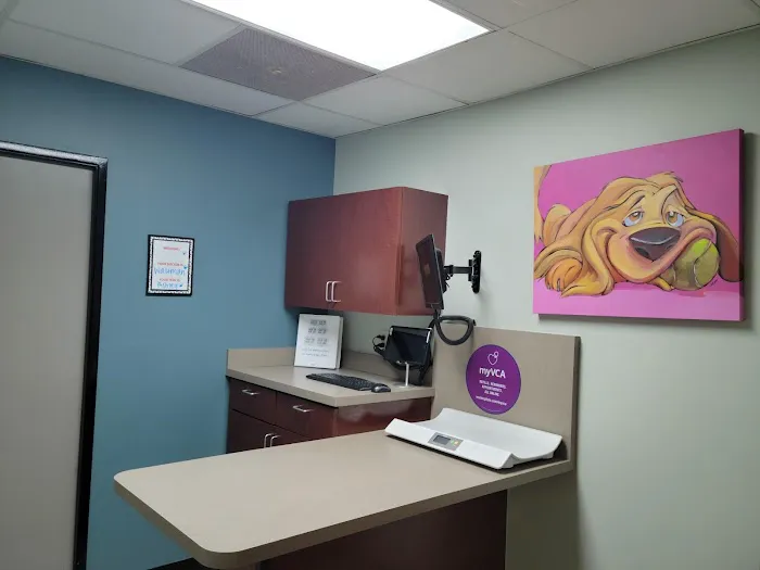 VCA El Mirage Animal Hospital Picture 8