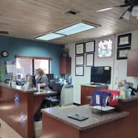 VCA El Mirage Animal Hospital ico