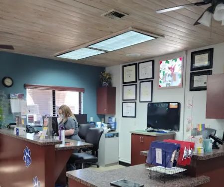VCA El Mirage Animal Hospital