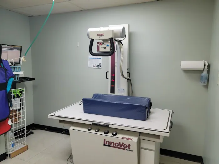 VCA El Mirage Animal Hospital Picture 10