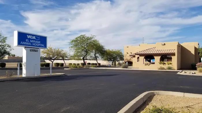 VCA El Mirage Animal Hospital Picture 3