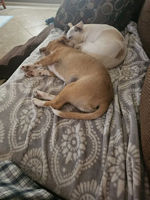 Banfield Pet Hospital Picture 8