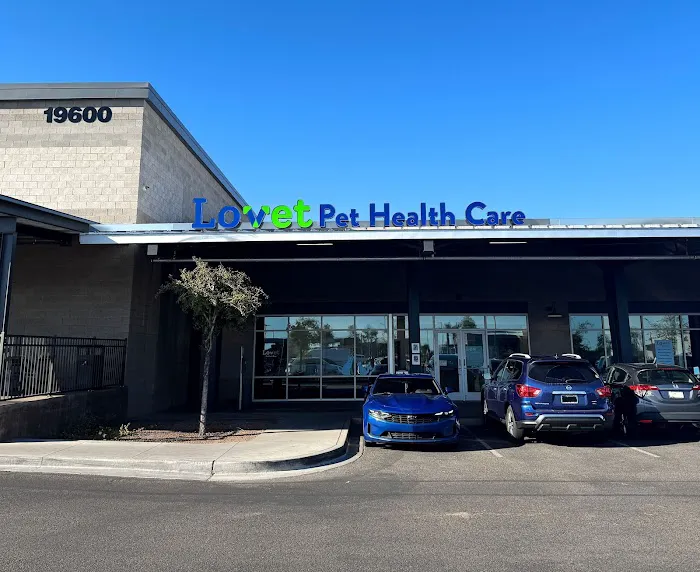 Lovet Pet Health Care - Verrado Picture 9