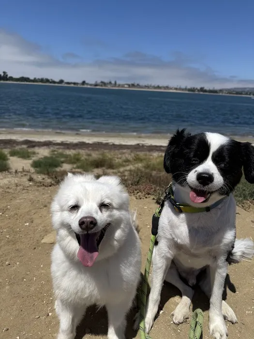 Lovet Pet Health Care - Verrado Picture 3