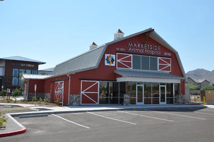 Marketside Animal Hospital at Verrado Picture 3