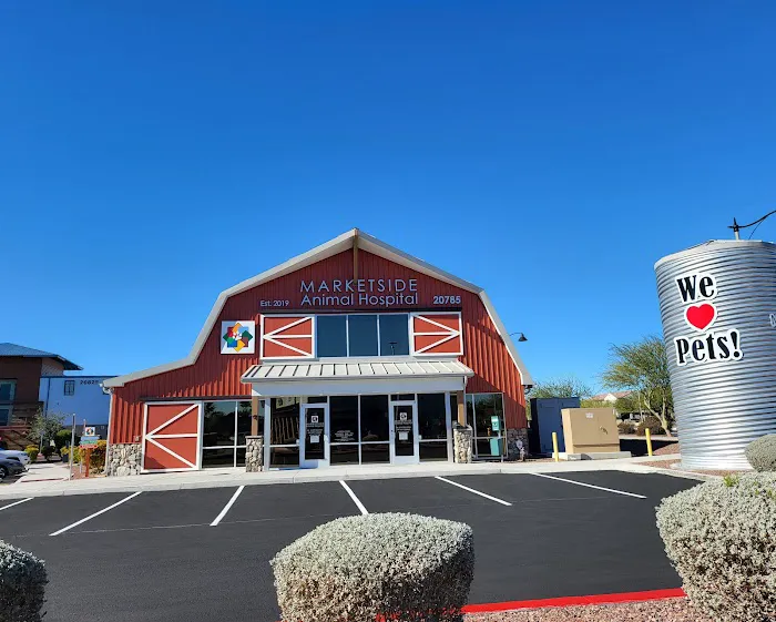 Marketside Animal Hospital at Verrado Picture 7