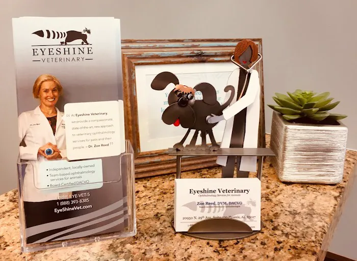 Eyeshine Veterinary Picture 7
