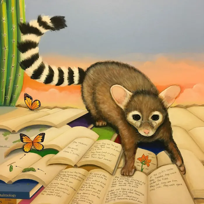 Eyeshine Veterinary Picture 8