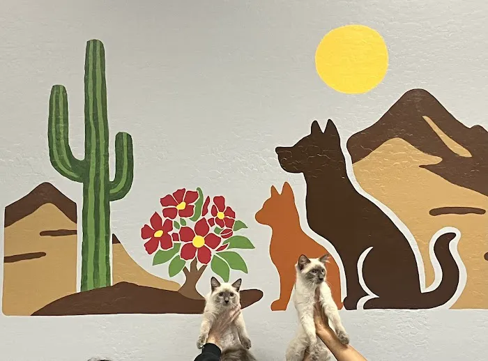Desert Rose Animal Hospital Picture 8