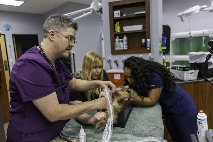 Desert Rose Animal Hospital Picture 1