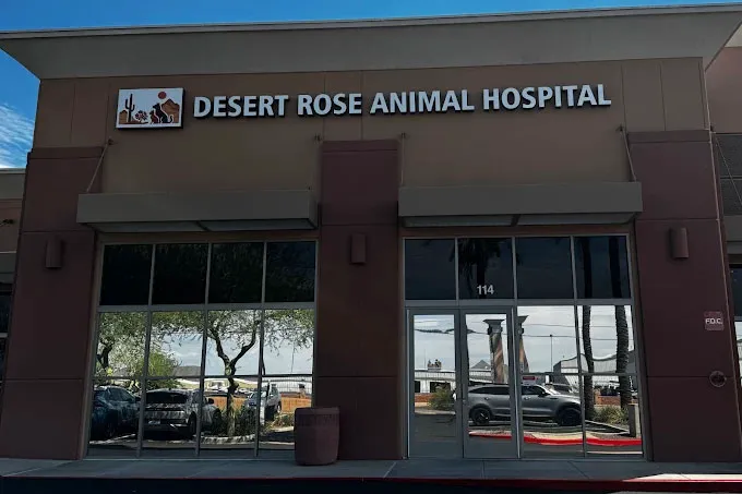 Desert Rose Animal Hospital Picture 5