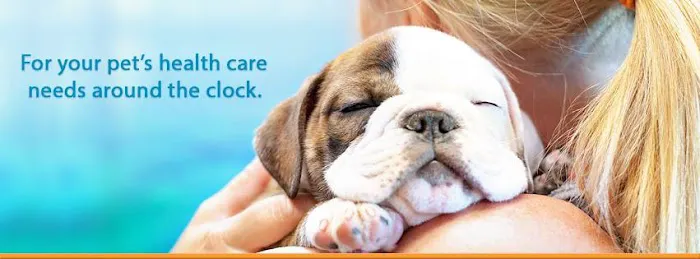 1st Pet Veterinary Centers - Chandler Picture 5